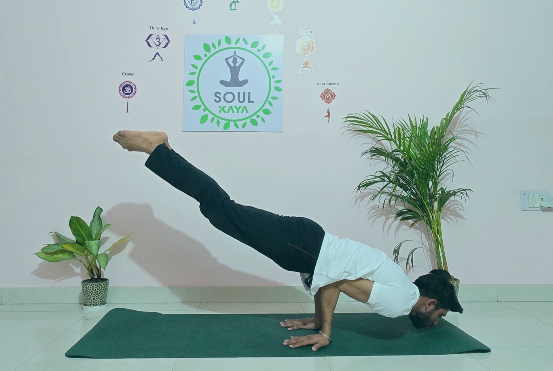Yoga session for back pain relief
