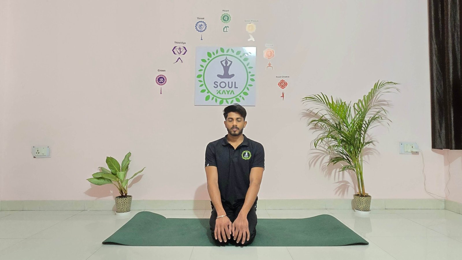 Structured online yoga session following a scientific and organised approach