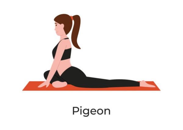 Young beautiful woman practicing yoga in Legged King Pigeon or Eka Pada Rajakapotasana pose. Flat vector cartoon modern style illustration isolated white background.